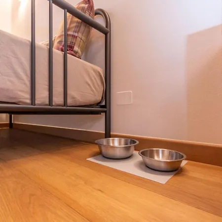 Bed and Breakfast El Lares - L'avez Canale dʼAgordo