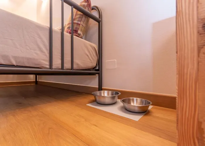 Bed & Breakfast El Lares - L'avez Canale dʼAgordo